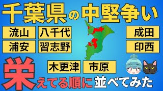 【千葉県の中堅争い】流山、浦安、習志野、八千代、印西、成田、市原、木更津の都会度を徹底比較！！