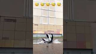 Funnyfails🤣🤣🤣🤣 #funny #memes #fails #funnyshorts