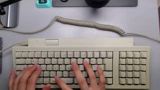 Apple Standard Keyboard II (M0487J ISO) Japanese typing demo