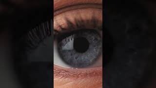 Typing Aiming to be the best in the world at Sushi typing #shorts