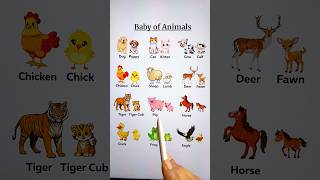 動物の赤ちゃん🐶🐣 #教育 #動物 #動物好き #英語