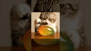 【AIASMR】なぜか落ち着く。猫がひたすらガラスの果実を切る動画。#ASMR #猫 #AIASMR #音フェチ #shorts #ガラス #カッティング #AIart #ai