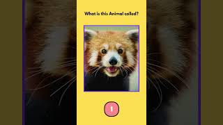 Animals Name for Kids |Animal Recognition for toddlers #animalsforkids #animalquiz #learningvideo