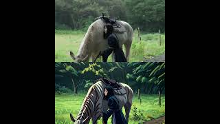 Power Director のAIアニメ加工　ミステリアス