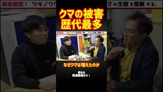 Record high number of bear attacks | Why are bear numbers increasing?