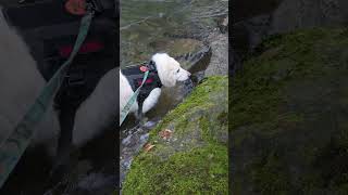 Let the prisoner get some water, it been a long forced march