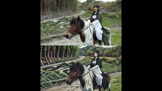 Power Director AIアニメ加工　ロマンス