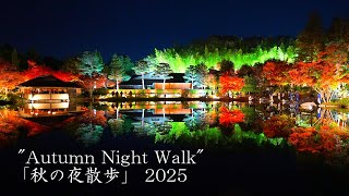 【昭和記念公園】初めての「秋の夜散歩」は、想像を遥かに超えて美しかった！