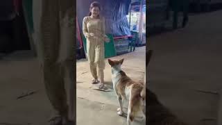 Dogy focus on Goals 👀😁 #viralvideo #dancevideo #boob so hot