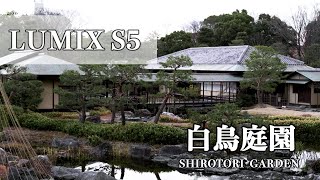【LUMIX S5】名古屋 白鳥庭園 / shirotori garden