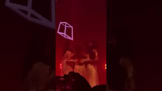 go girl! #trending #petshub #asmr #funny #love #bollywood #food #ytshorts #saturnalia