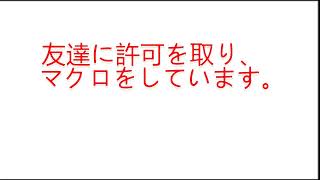 悪用厳禁！友達にマクロの刑