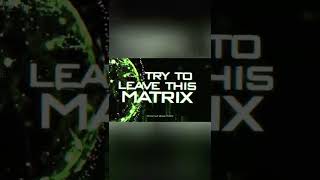 Spoiler Alert! 🔥#matrix #lupak #faol #anacolle