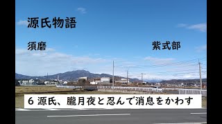 源氏物語　須磨　6　源氏、朧月夜と忍んで消息をかわす　作：紫式部