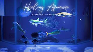 [ACNH BGM] Healing Aquarium | 6H High-Quality Version | Relax with Flowing Water | Original | Work