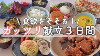 【３日間献立】がっつり食べたい日の献立３日間 | お肉が好きな人必見です◎