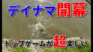 デイナマもそろそろ開幕か？トップゲームいってきました