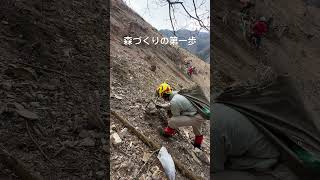 山仕事。森づくりの第一歩は植林。#林業#山仕事#林業機械#林業伐採