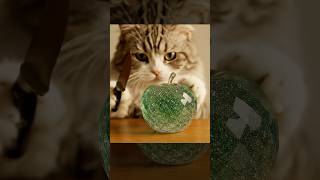 【AI ASMR】猫職人による、ガラス細工フルーツのカッティングショーへようこそ。 #ASMR #猫 #AIASMR #音フェチ #shorts #ガラス #カッティング #AIart #ai