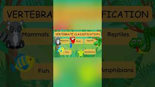 動物の分類 #colorfullearning #animalfacts #classification #animals #vertebrates