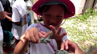 小笠原大冒険キャンプ　スクールツアーシップ(STS)