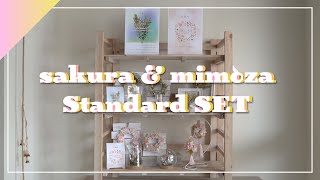 【春の売り場に】ミモザ＆さくら商品スタンダードセットのご紹介