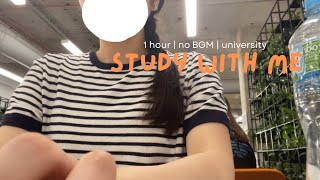 【作業用】👩‍🎓1 hour STUDY WITH ME⌇🇦🇺の大学で一緒に勉強しよう✏️⌇学生の話し声⌇環境音🌳