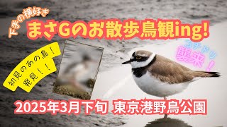 まさGのお散歩鳥観ing! 2025年3月下旬 東京港野鳥公園