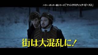 映画『ファンタスティック・ビーストと魔法使いの旅』オンラインSPOT（30秒）【HD】2016年11月23日公開