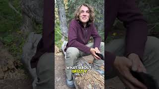 How To Survive A Bear Encounter #survivalskills #bearencounter