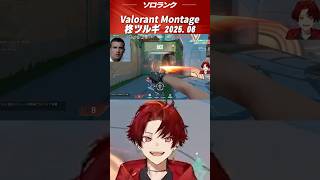 【圧巻のACE】オペキルが鮮やかすぎるツルギ #柊ツルギ #valorant #切り抜き