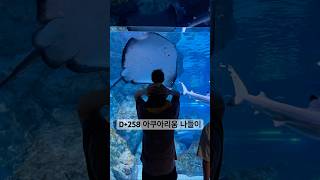 D+258 아쿠아리움 나들이💙 #aquarium #babyplaytime #sea #ocean #8monthsbaby #parenting #lovelybaby #cutebaby
