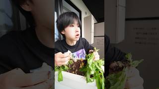 I made an edible flower pot!!