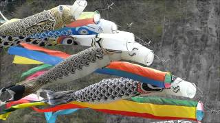 KOINOBORI　こいのぼり