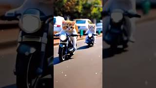 Catvideo #music #childrenentertainment #youtubeshortvideo