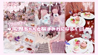 【量産型】桜アフヌン&4.5周年お祝いプレート𝐕𝐥𝐨𝐠🌸