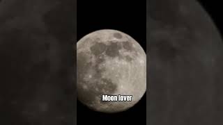 tag a selenophile! #moon #selfimprovement #selenophile #moonlight #love #trending