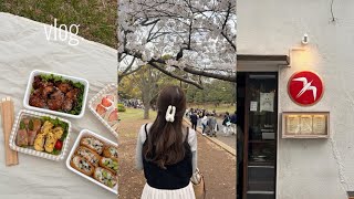 sub)vlog.社会人の3days🥑お弁当作りとお花見🌸⋆*SHEINルームウェアレビュー🧵