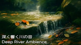 【ASMR】深い川の流れる音と淡く届く鳥の声｜Deep River Flow & Soft Bird Chorus