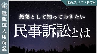 【睡眠導入用解説】【民事訴訟とは】知っておくと役立つ法律の知識と裁判の流れ