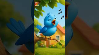 Learn colors with Sara | educational rhythm for preschoolers and teachers #kindergartenrocks #colour