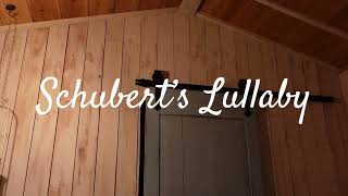 【Night Harp】Schubert's Lullaby　シューベルトの子守歌（ハープ）