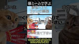 【猫ミーム】切り抜く配信が無いのでフリー素材・或世イヌで遊ぶ切り抜き動画編集者【切り抜き】#shorts #ネオポルテ #猫マニ #チピチピチャパチャパ #Vtuber #にじさんじ