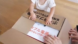 [Vlog] 購入品 | ソーラーパネル