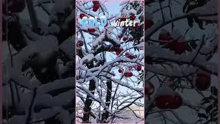 Hello Winter #winter #cold  #shorts
