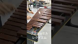 吹奏楽コンクールで最も演奏されたであろうシロフォンソロ    #ブリュッセルレクイエム
