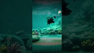 #shorts #preschool #preschoolcartoon #homeschoolpreschool #kidsshows #musicandmovement