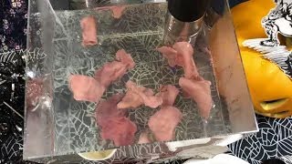 ハロウィンパーティーはAnovaを使って牛タンしゃぶしゃぶ【それどこ】