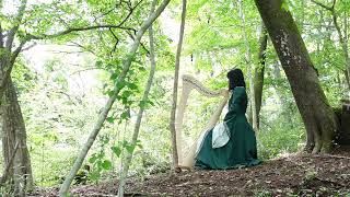 Irish Pony（Harp）