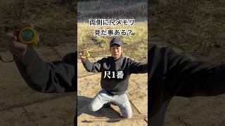 大工は特殊なスケールを使う#土木